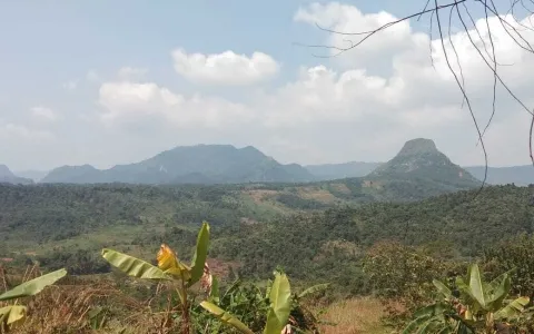 Tanah Jl. Gunung Sieum 2,5Ha, Sukadamai, Sukamakmur, Bogor, Jawa Barat