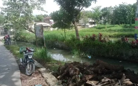 Dijual Cepat Tanah Empang Cocok untuk Usaha Comersil di Sawangan Depok