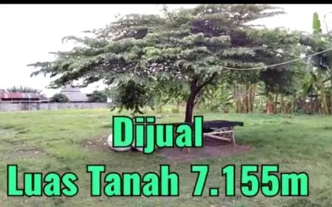 Di jual Tanah Kavling  Ukuran 100 x 71,55 m , Pasar kemis, Kota Bumi, Tangerang