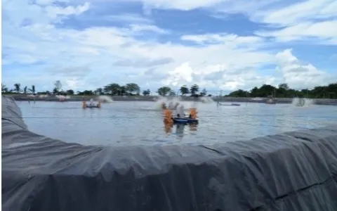 Lahan Tambak  Udang  Luas 25 Ha siap Operasi