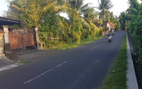 Lelang Tanah luas 400 m2 Kab. Badung, Bali