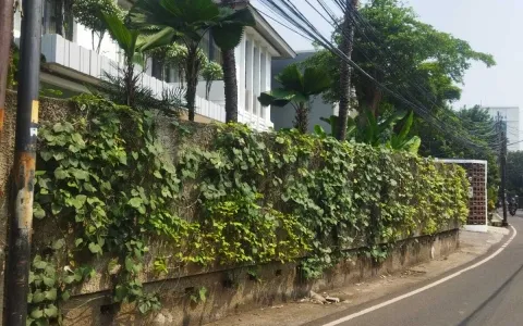 Lelang Rumah Mewah 2 Lantai Cilandak Jakarta Selatan