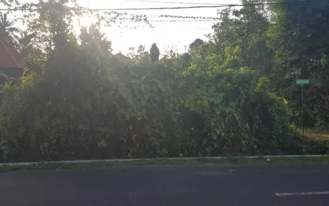 Lelang Tanah luas 400 m2 Kab. Badung, Bali