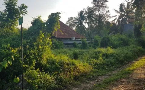 Lelang Tanah luas 400 m2 Kab. Badung, Bali