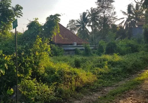 Lelang Tanah luas 400 m2 Kab. Badung, Bali