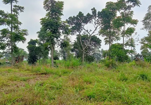 LELANG TANAH JL. DUSUN MACAMAN, DESA TAJUK,SEMARANG, JAWA TENGAH