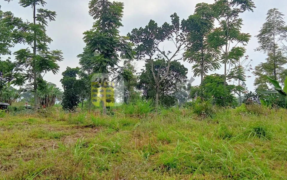 LELANG TANAH JL. DUSUN MACAMAN, DESA TAJUK,SEMARANG, JAWA TENGAH