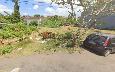 Lelang Tanah Murah Di Cargo Denpasar, Bali